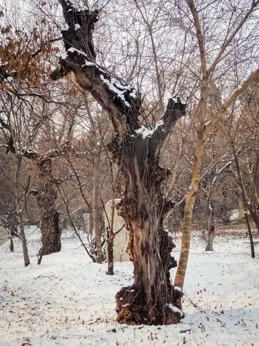 古城布衣 - 图虫摄影网