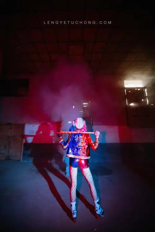 dc漫威哈利.奎因 小丑女