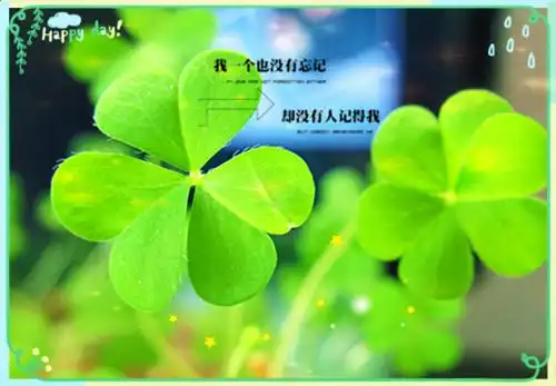 清新唯美的四叶草图片_幸福爱情的见证
