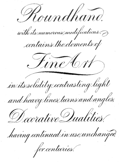 花体字-花瓣网|陪你做生活的设计师 | 英文字体.手绘.设计.手写.26个