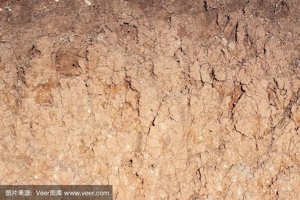 泥土,横截面,东欧大草原,在下面,褐色