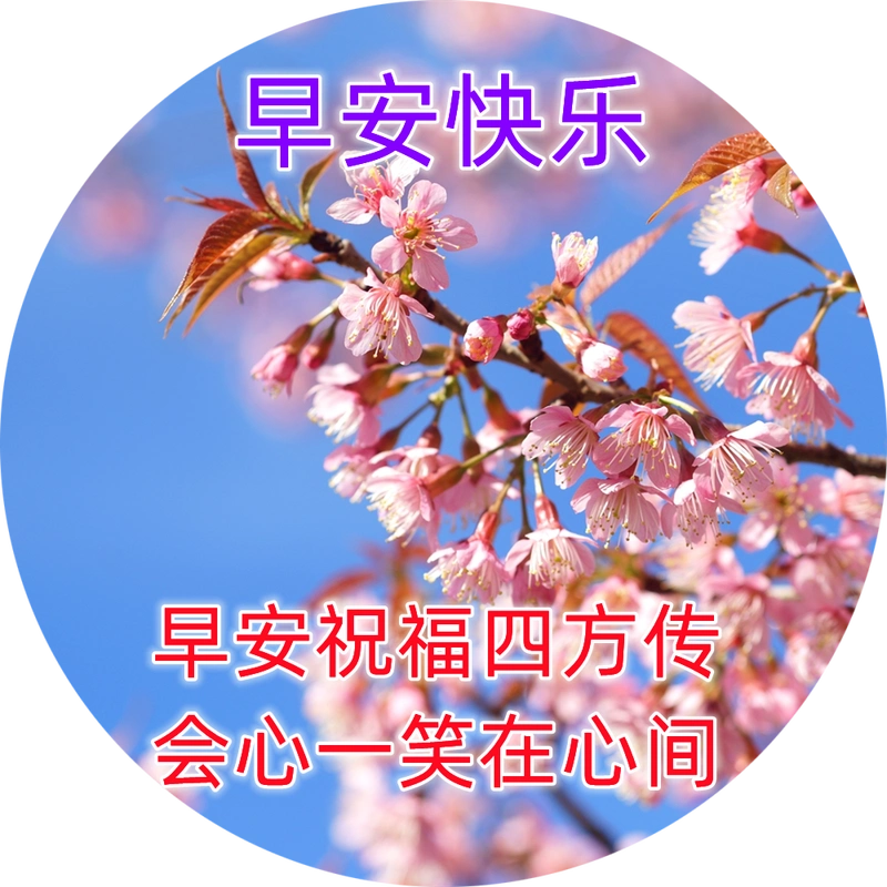 周五最漂亮的早安祝福唯美图片带字温馨 早上问候表情图片唯美