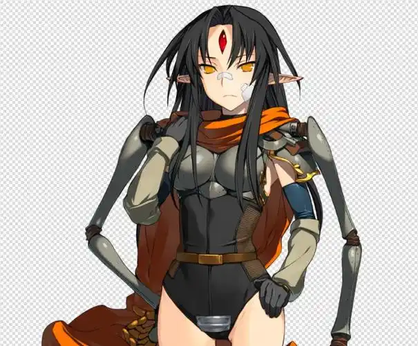 战国兰斯10全人物表情立绘