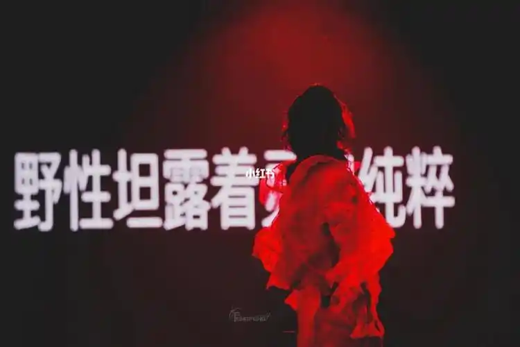 想要一个满是华晨宇歌词的评论区06