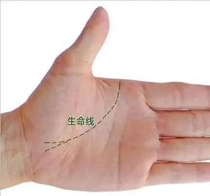 月丘,月丘上的纹路图解