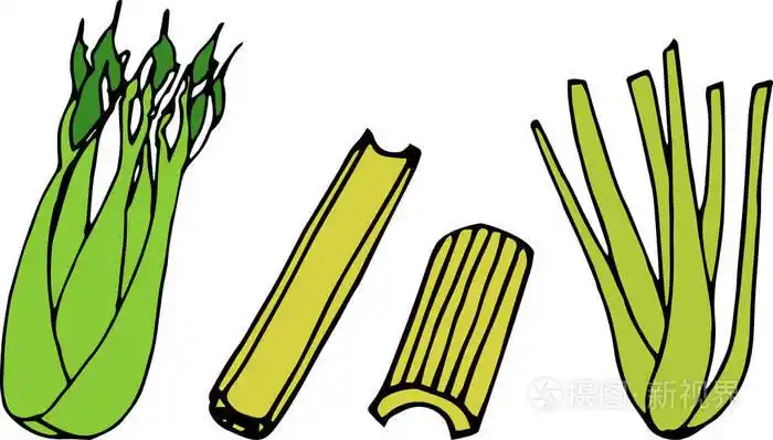 白色背景的卡通芹菜插画-正版商用图片0upku4-摄图新视界