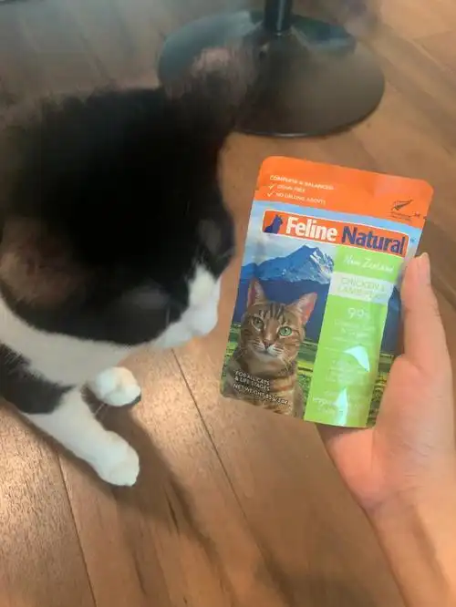 felinenatural新餐包尝鲜测评