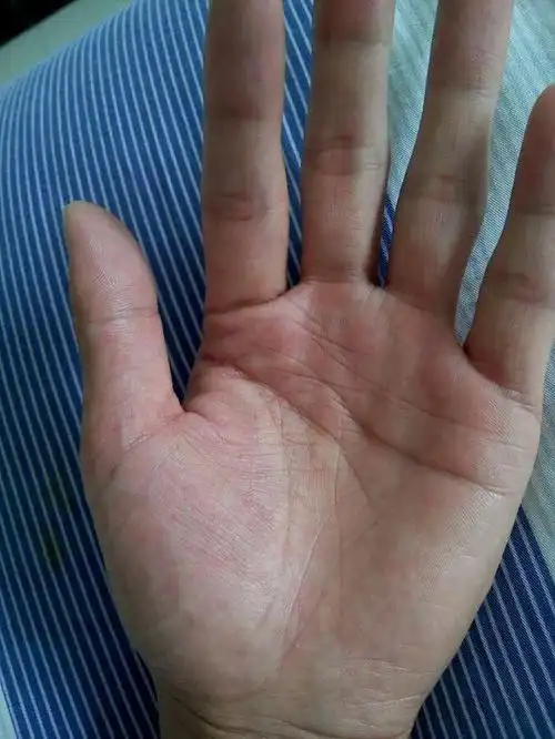 有这样的手掌的人,都是比较有福气的人,而且特别重感情