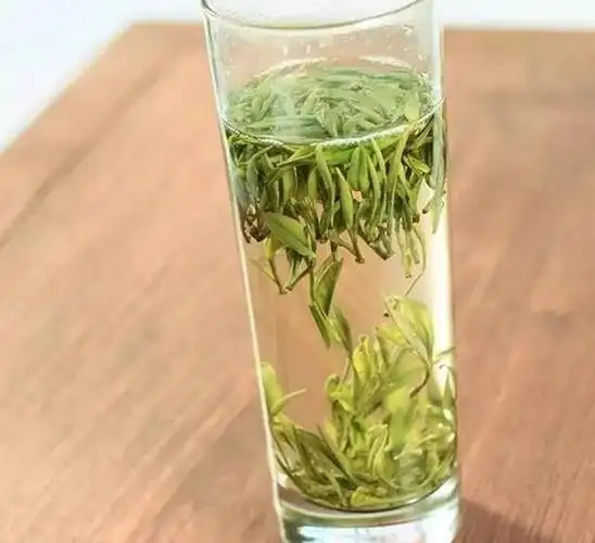 一杯绿茶喝出春天的气息.