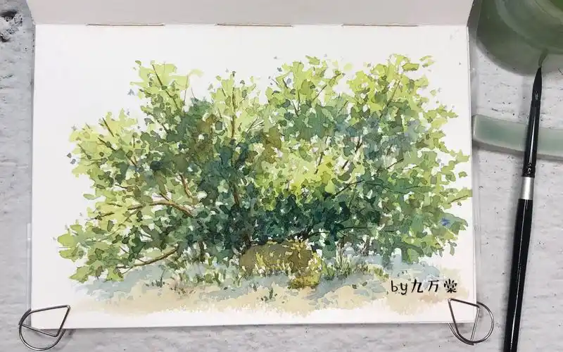 【水彩教程】5分钟教你绘制温暖小场景/路边的小树丛/附步骤文字讲解