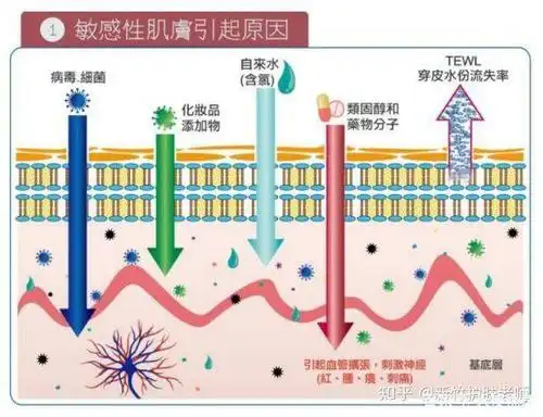 新竹护肤:带你了解皮肤屏障的功能及受损的表现