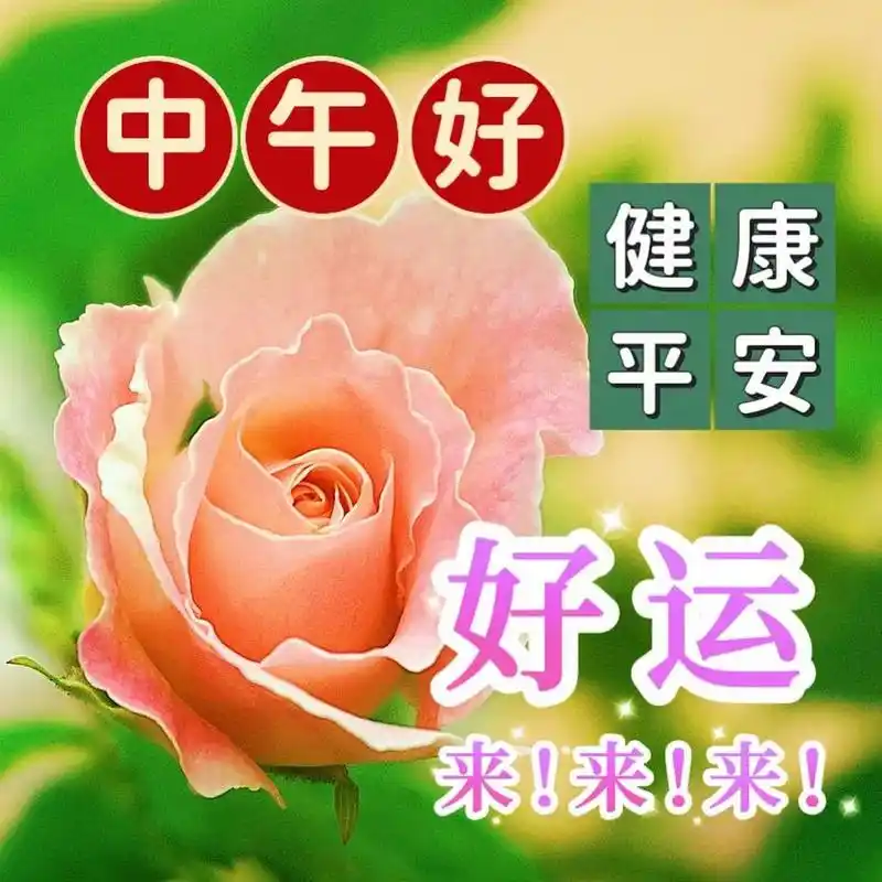 午安!  中午好!生命的