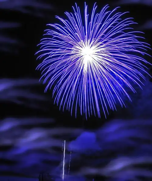 观看烟花的句子