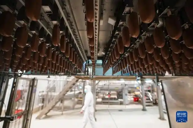 当冰淇淋遇到"智能制造"——探访日产900万支冰淇淋的"灯塔工厂"