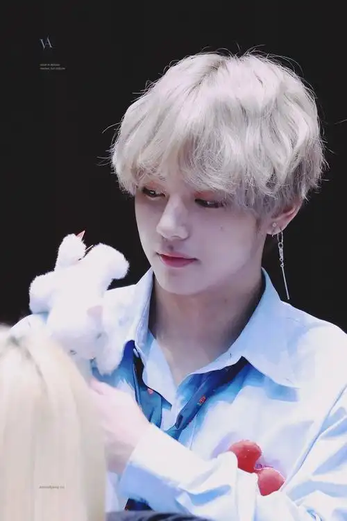 大家最喜欢金泰亨什么发色