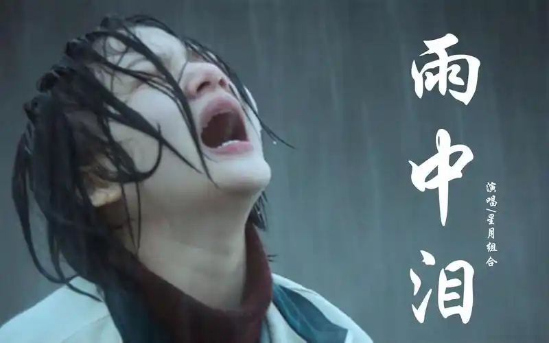 星月组合的这首《雨中泪》好听又伤感,听着心碎不已,不由落泪!