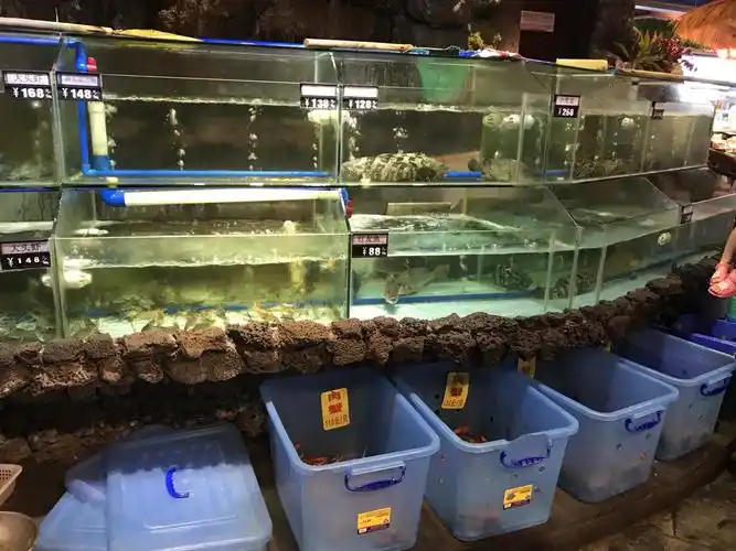 新海府粥城(红城湖店)