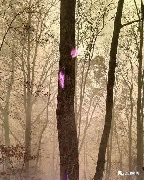 一张图倒过来看吓死人40张不该存在的照片千万不要放大看的图片