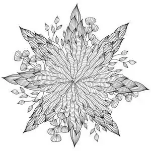 手绘艺术民族观赏图案花框在涂鸦风格,成人着色页.照片