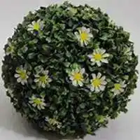 唯美好看七里香微信头像【点击鼠标右键下载】