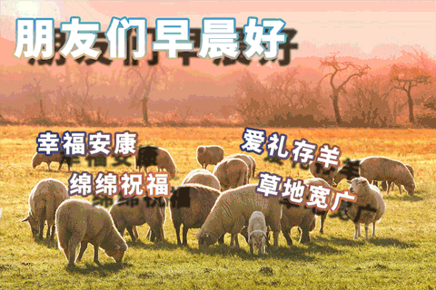 早上好问候美图,早安问候语句.