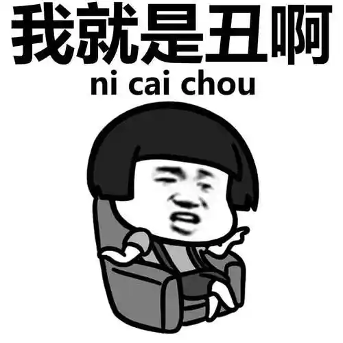 我就是丑啊 ni cai chou