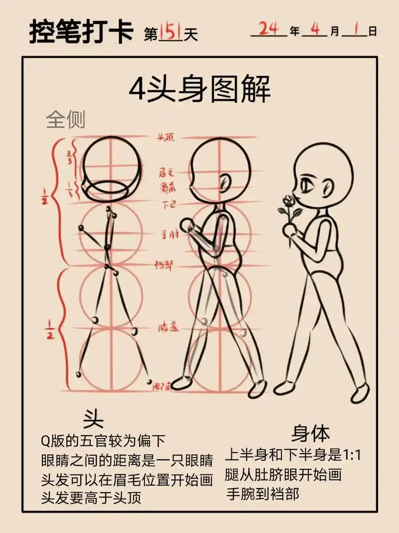 插画师怎样练成的4头身全侧教程151.零基础学画画 ~q版人 - 抖音