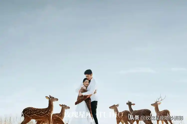 一鹿有你的唯美句子