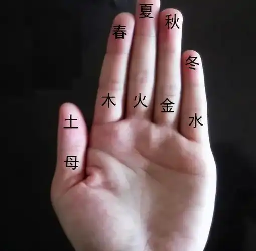 手掌金木水火土,在什么方位判定你的五行?