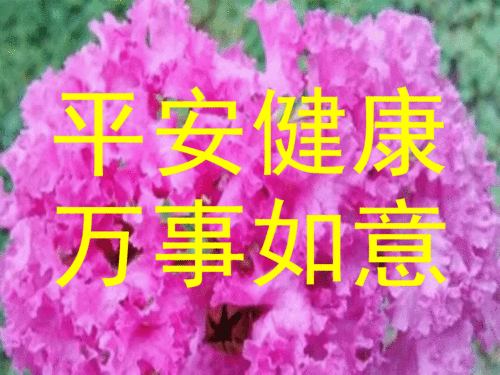 原创2021年7张最创意漂亮不用打字就可以聊天的早上好动态表情图片