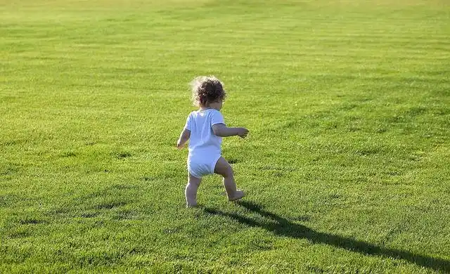 这个误解是时候消除了!|学走路|学步|圆圆_网易订阅
