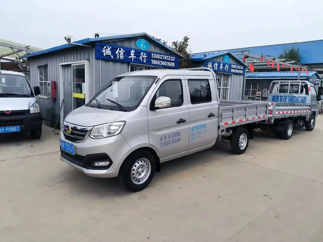 20年12月长安新豹t3双排货车.