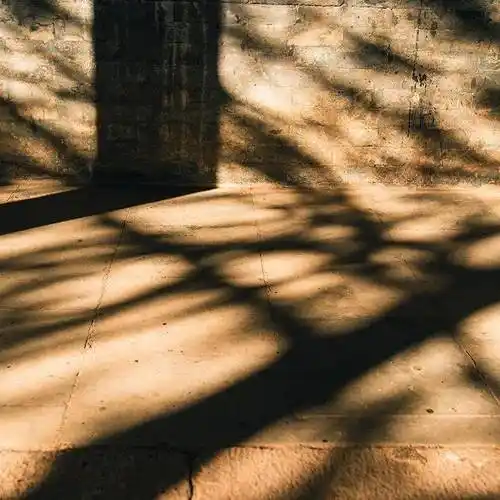 对照看看你的头像是否触犯了这些风水禁忌?_塔罗_照片_影响