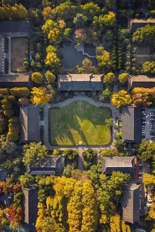 最美不过母校的秋!