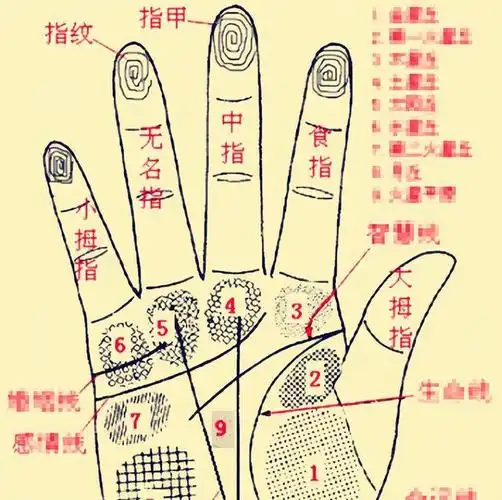 关于指纹的民谣关于看手相,在民间流传比较广的是手指纹路的说法:"一