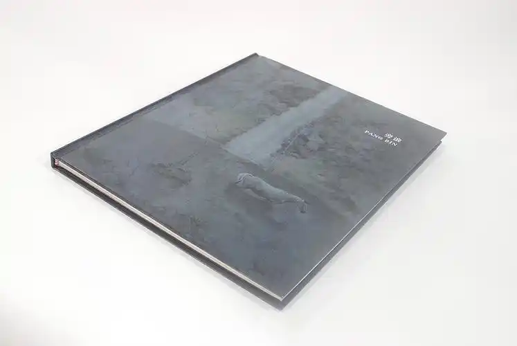 艺术家旁滨作品集