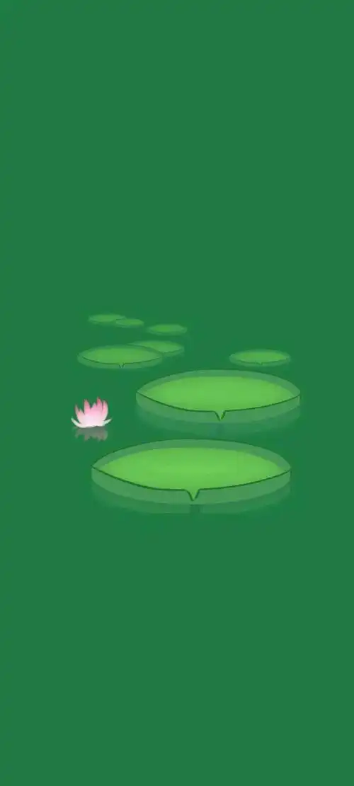 清新绿色护眼荷花壁纸