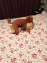 不敢相信,这些院线片竟然这么污!