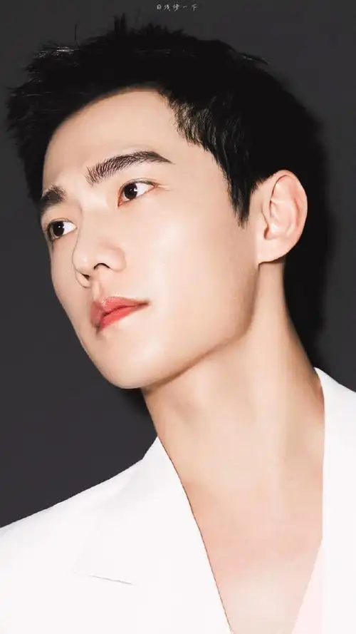 巴黎欧莱雅美发代言人杨洋