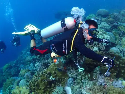 平安亚洲旅游险潜水 中国哪里可以潜水