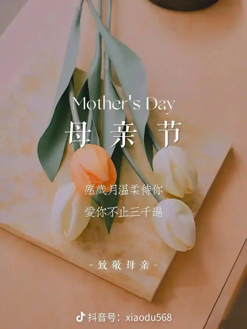 创作灵感#背景图#母亲节#母亲节文案#母亲节快乐#手机壁纸 - 抖音