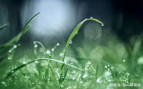 长时间看电脑必不可少的护眼壁纸