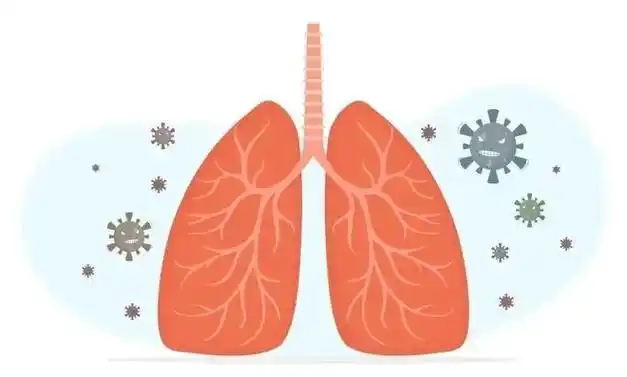 世界防治结核病日 | 关于肺结核,这些知识点请关注|治疗|肺炎支原体_