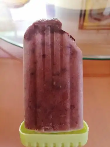 听说夏景言做的古早味红豆牛奶冰棒