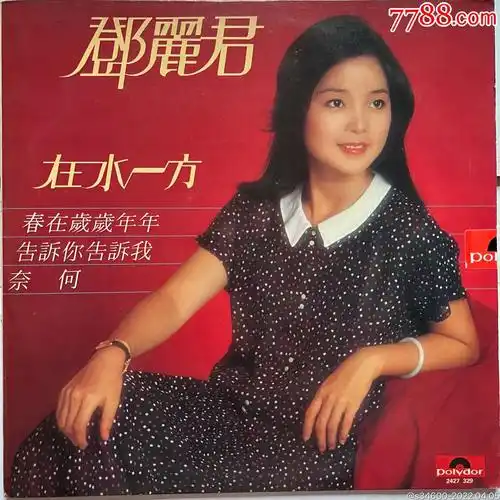 邓丽君在水一方专辑黑胶唱片