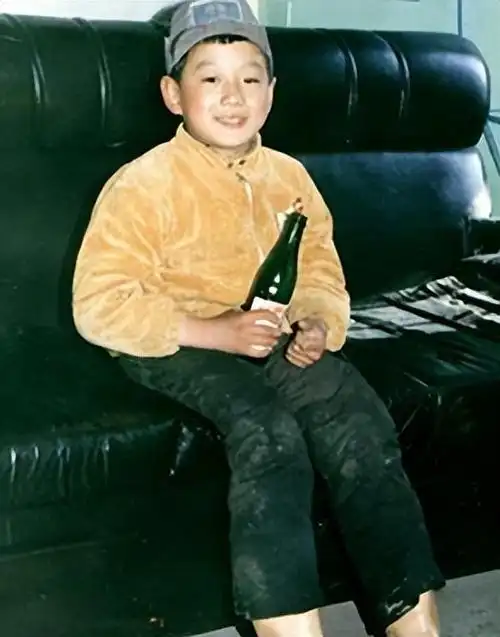 演员佟大为:娶"关老师"为妻,8年生3孩,今一家五口幸福无忧