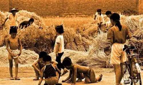 又到一年农忙时,农村收麦子老照片唤起多少人的回忆,都已成过去