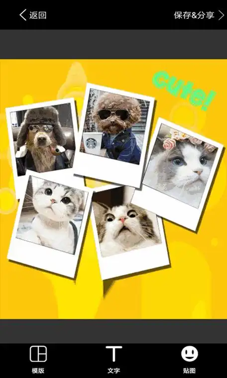 35-照片拼图应用是指将多张照片拼合在一起生成一张新的照片的应用