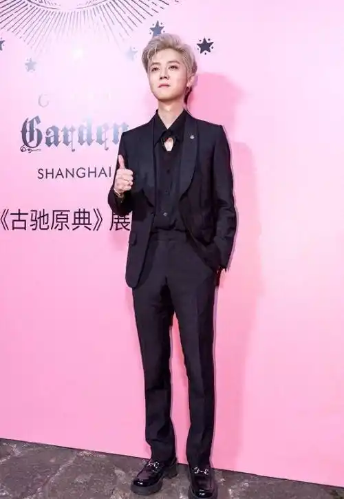 在高中,拿走鹿晗初吻的女孩儿名叫魏千雅,是鹿晗高中学校的校花.