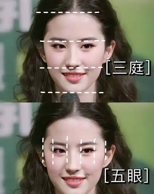 刘亦菲的美不仅仅是五官上的天生丽质,她的三庭五眼也很标准,最优秀的